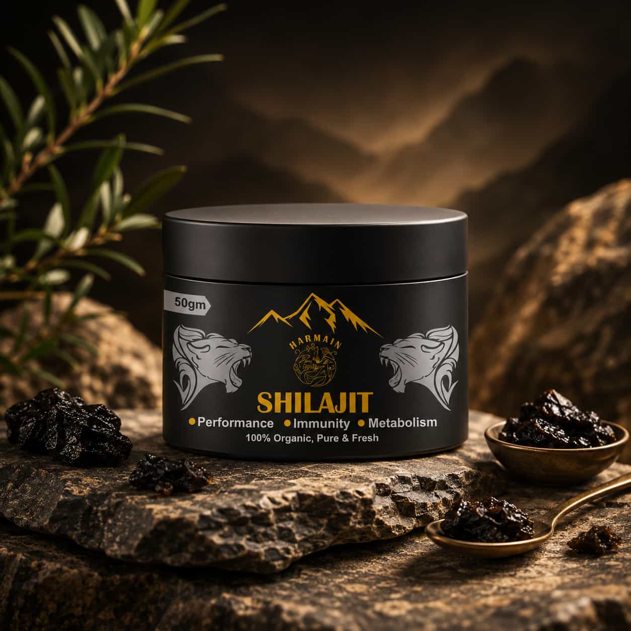 Shilajit Resin